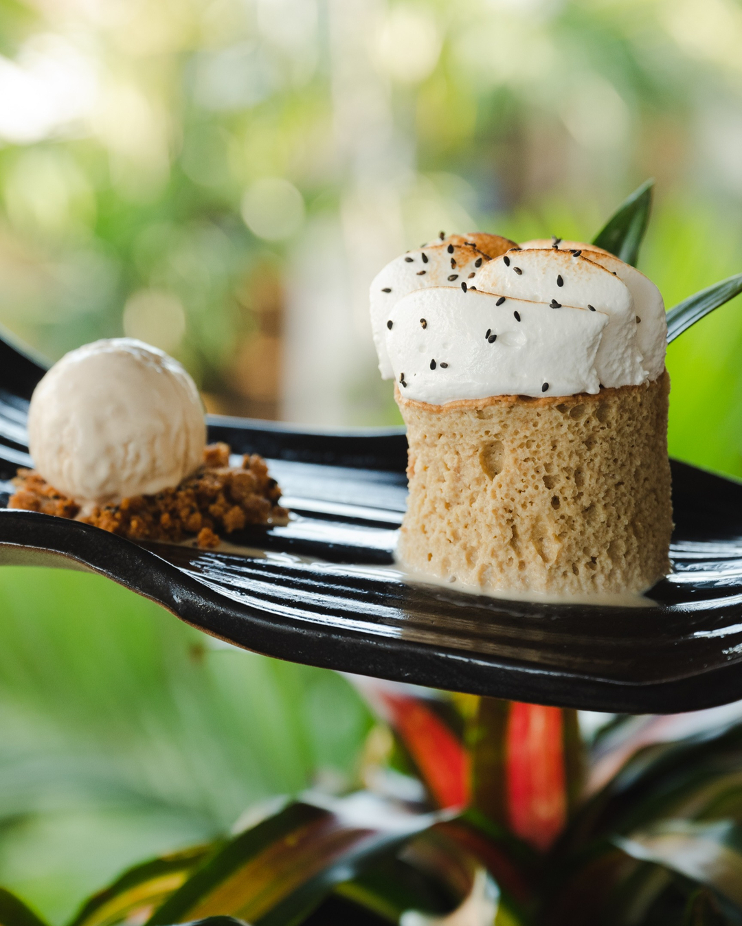 Dessert cake and ice-cream on black plate